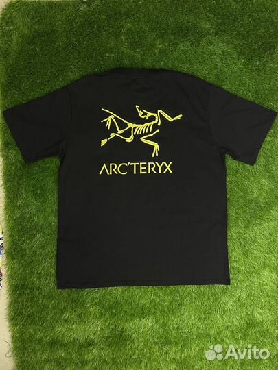 Футболка мужская Arcteryx