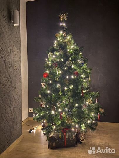 Царь Елка Алтайская 180 см