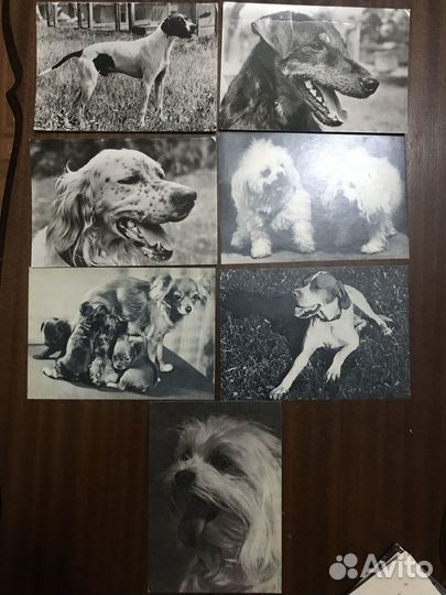 Открытки СССР