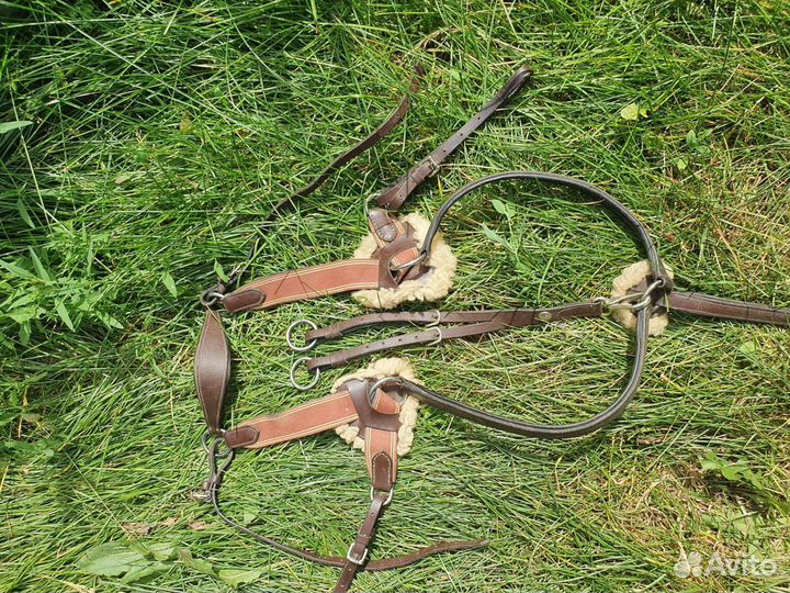 Подперсье бриджи недоуздки