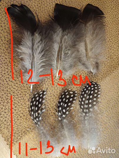 Перья набор для творчества