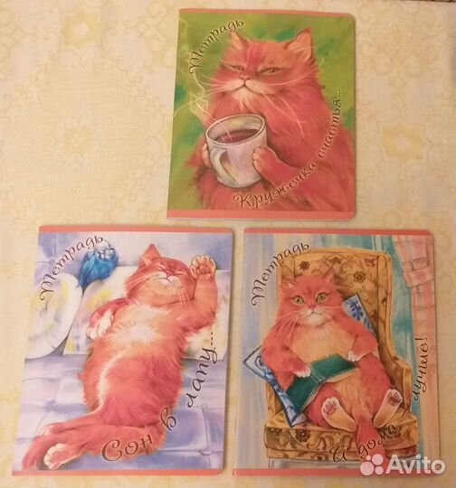 Набор тетради Котики 48л, 3шт