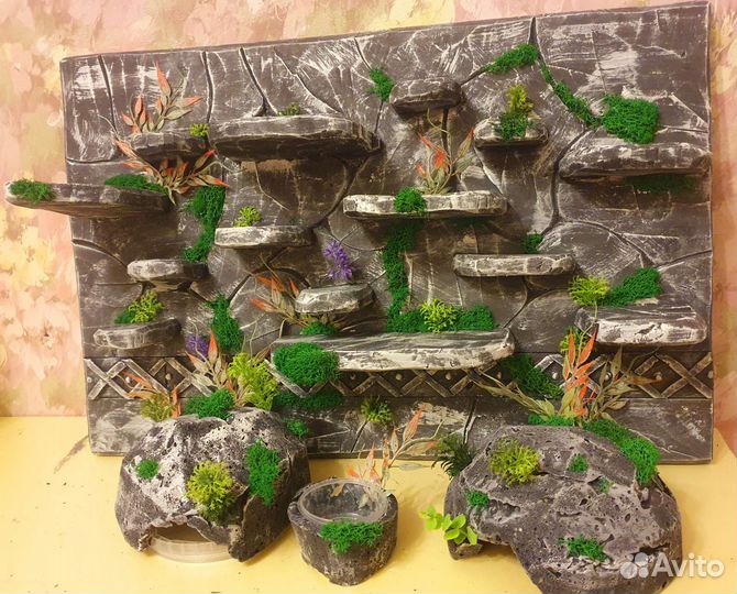 Оформление террариума 
