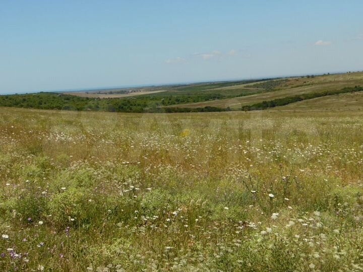 Участок 3,75 га (СНТ, ДНП)