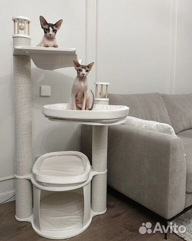 Когтеточка для кошек с домиком