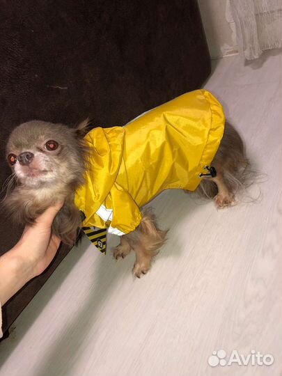 Дождевик курточка