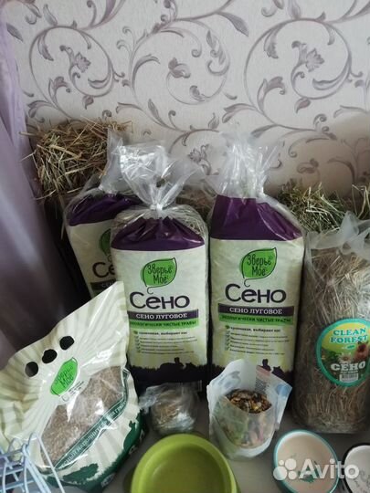 Сено, корма для морской свинки