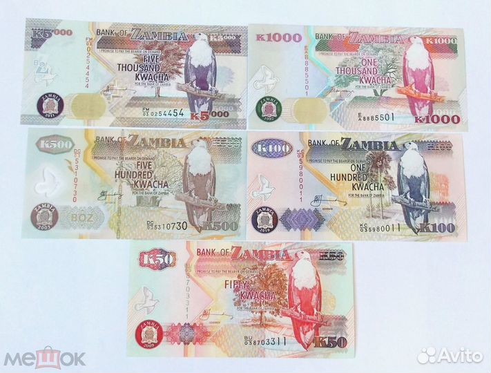 Гвинея Египет Замбия Заир Нигерия Сомали Эритрея