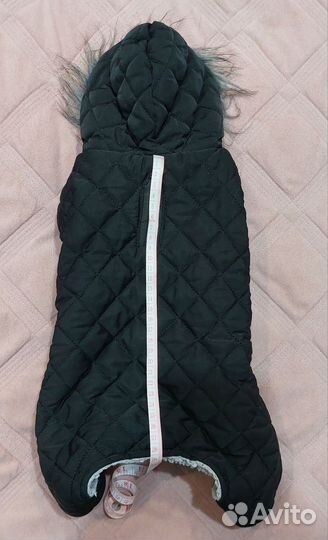 Одежда на маленькую собаку