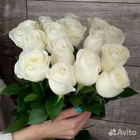 Розы высокие Доставка цветов