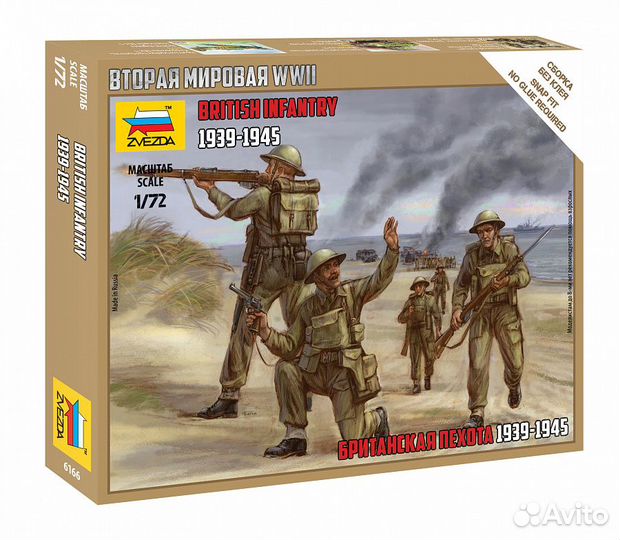 6166 Британская пехота