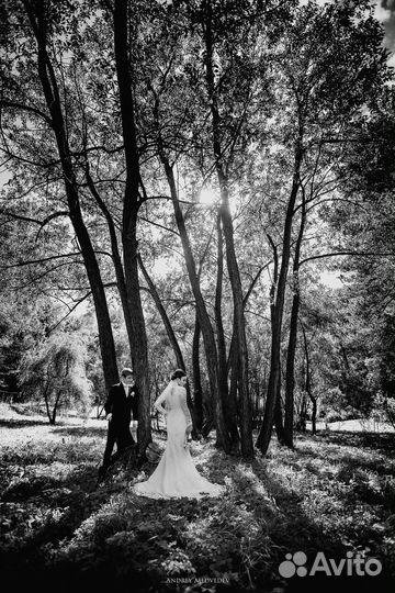 Фотограф Новосибирск Бердск Барнаул Томск Алтай