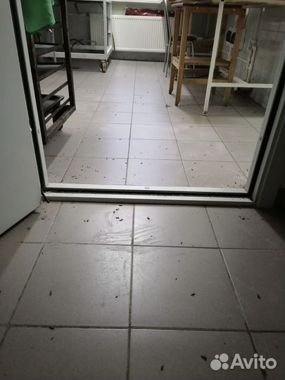 Дезинсекция / Уничтожение тараканов,насекомых