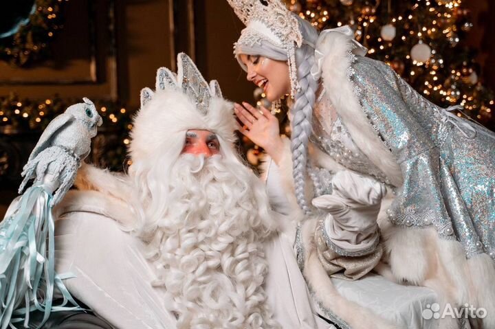 Дед мороз и снегурочка на дом