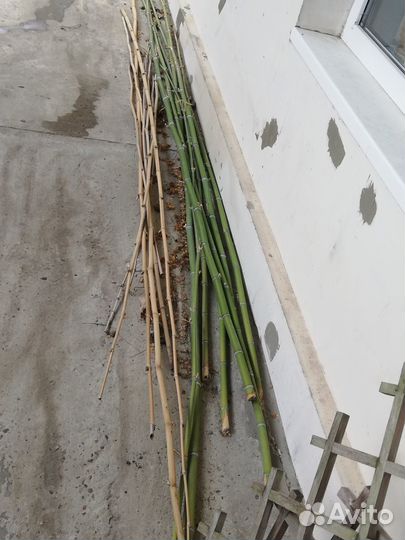 Бамбуковые палки