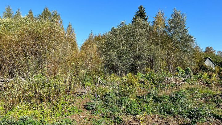 Участок 10 сот. (СНТ, ДНП)