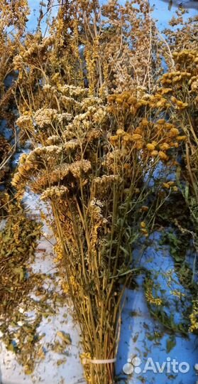 Веники травяные, душистые букеты для дома и бани