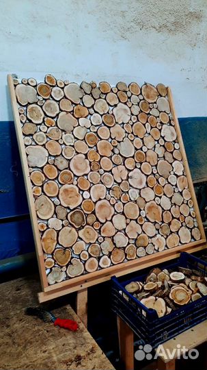 Спилы можевельника