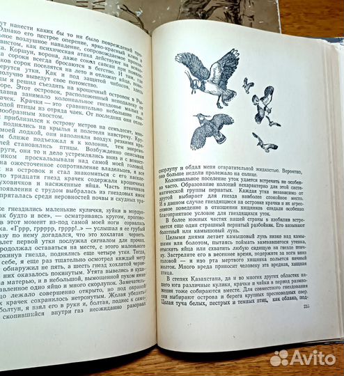 Книги Е.П. Спангенберга 1950-х гг