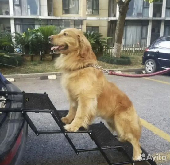 Лестница для собак