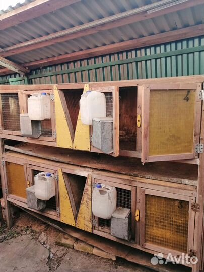 Клетки для кроликов, цена за всё