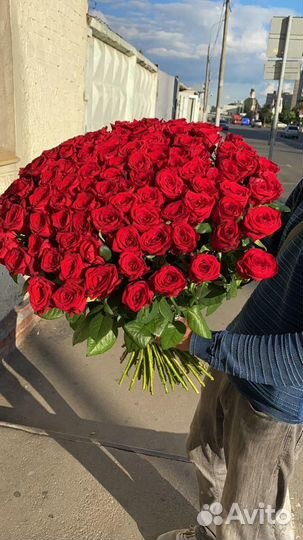 Цветы. букеты 25 51 101 201 Роза