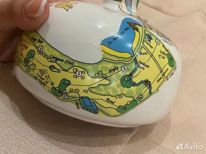 Mcgibbon's master's reserve st andrews