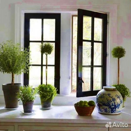 Пластиковые окна