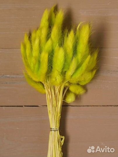 Сухоцветы гепсафила, лагуруса, хлопок