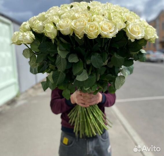 101 роза 51 роза Цветы