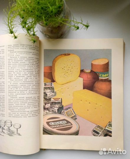 Книга о вкусной и здоровой пище 1964