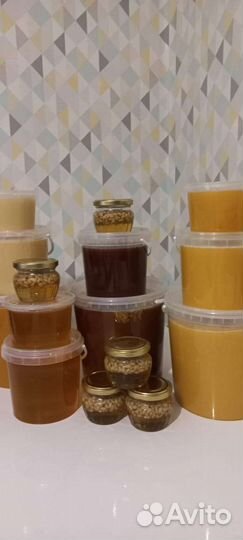 Свежий Алтайский мёд 2023