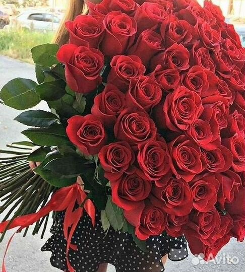 Высокие Розы с Доставкой