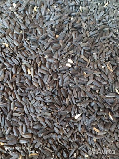 Семечки подсолнечника в мешках