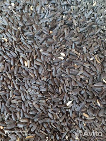 Семечки подсолнечника в мешках