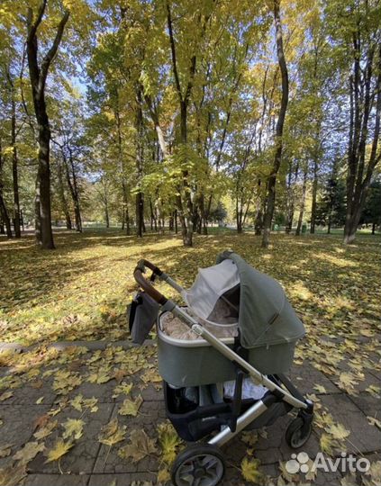 Uppababy люлька vista cruz