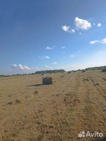 Пресс-подборщик БобруйскСельмаш ПР-145С, 1993