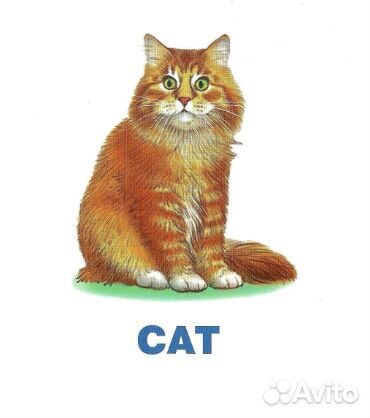 Карточки для запоминания слов по англ. языку