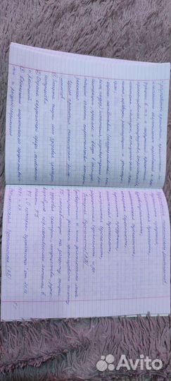 Перепишу лекции, конспекты