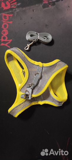 Шлейка для маленьких собак и крупных кошек