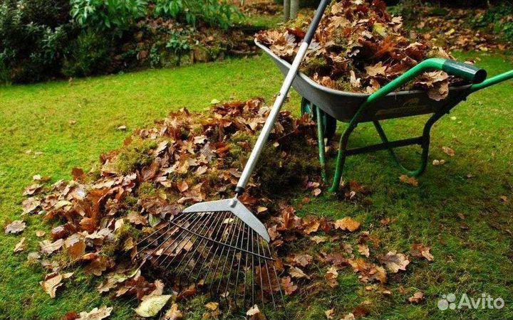 Расчистка участка перед продажей или покупкой