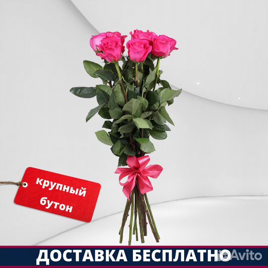 Розы Эквадор - 7 шт. 50 см