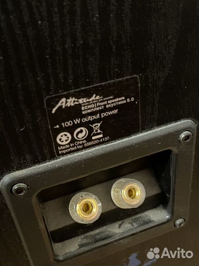 Attitude echo акустика