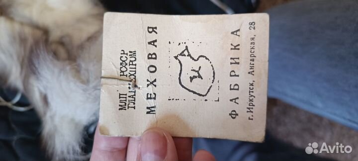 Меховые шкурки