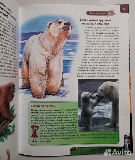 Детские книги сказки энциклопедии