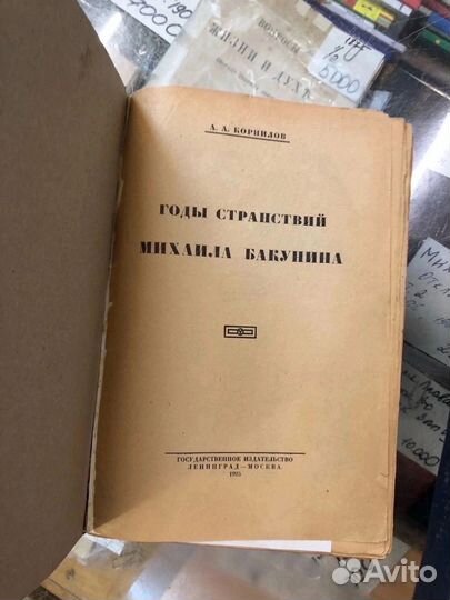 А. А. Корнилов Годы странствий М. Бакунина