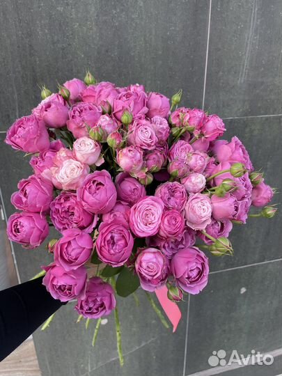 Кустовые розы