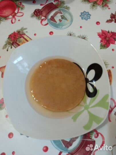 Чайный гриб