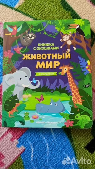 Книги с окошками