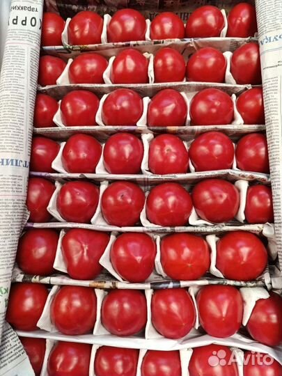 Помидоры